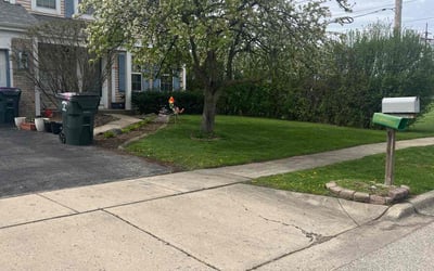 Photo of Don L.'s yard after getting lawn care in Mundelein, IL