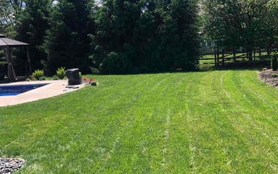 Photo of Rebecca P.'s yard after getting lawn care in Bowie, MD