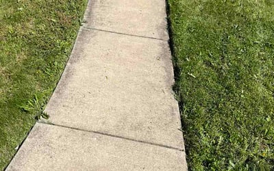 Photo of Judy P.'s yard after getting lawn care in Peyton, CO