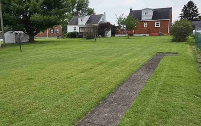Photo of Jeff B.'s yard after getting lawn care in Penn Yan, NY