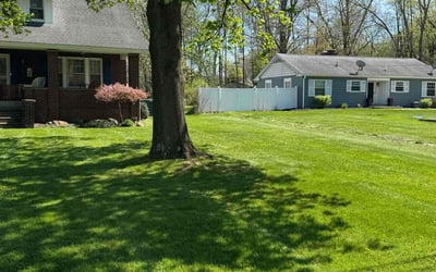 Photo of Elle M.'s yard after getting lawn care in Hubbard, OH