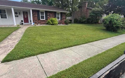 Photo of Shatina R.'s yard after getting lawn care in Fresno, TX