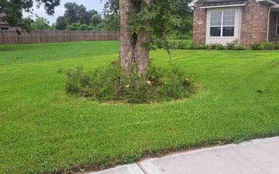 Photo of Eric M.'s yard after getting lawn care in Santa Fe, TX