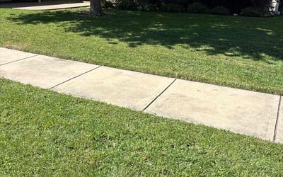 Photo of Ida S.'s yard after getting lawn care in Belton, MO