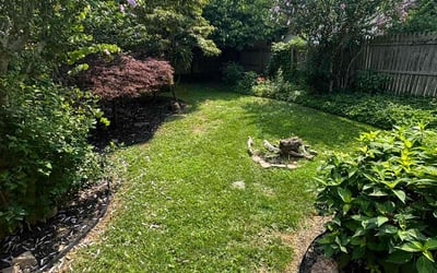 Photo of Sarah N.'s yard after getting lawn care in Hilton, NY