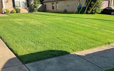 Photo of Glenda C.'s yard after getting lawn care in Cleveland, TN