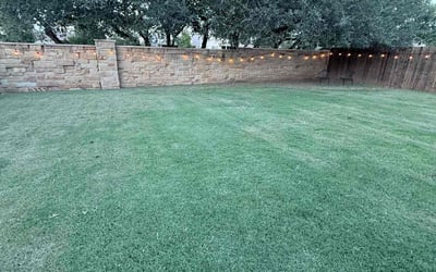 Photo of Cora S.'s yard after getting lawn care in Framingham, MA