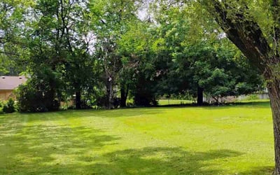 Photo of John C.'s yard after getting lawn care in Urbandale, IA