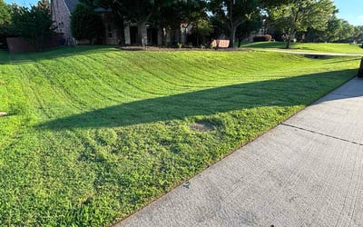 Photo of Jake M.'s yard after getting lawn care in Eldersburg, MD