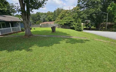 Photo of Joseph S.'s yard after getting lawn care in New York, NY