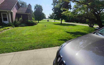 Photo of Phyllis M.'s yard after getting lawn care in Kenosha, WI