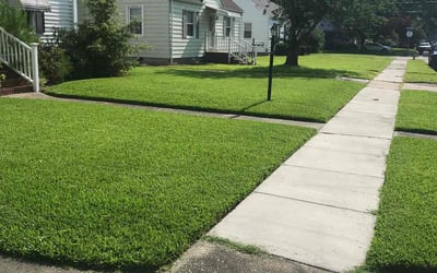 Photo of Jim L.'s yard after getting lawn care in Murfreesboro, TN