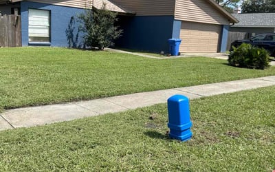 Photo of Rebecca A.'s yard after getting lawn care in Lutz, FL