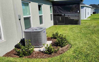 Photo of Dana M.'s yard after getting lawn care in Ellenton, FL
