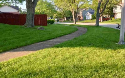 Photo of Linna G.'s yard after getting lawn care in Bolingbrook, IL