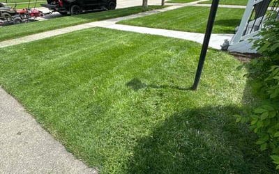 Photo of Mohamed H.'s yard after getting lawn care in Clawson, MI