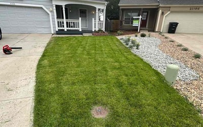 Photo of Grant M.'s yard after getting lawn care in Crawfordville, FL
