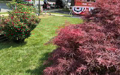 Photo of Mikayla S.'s yard after getting lawn care in Green Cove Springs, FL