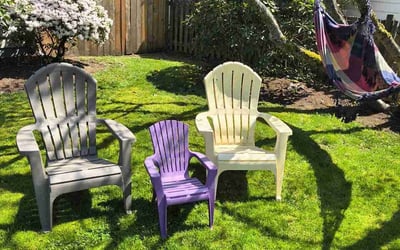 Photo of Marci K.'s yard after getting lawn care in Lynnwood, WA