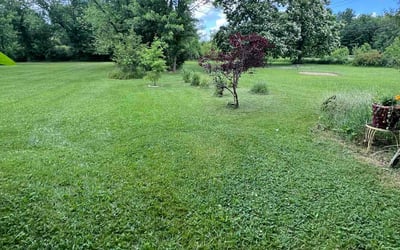 Photo of Jonnie S.'s yard after getting lawn care in Quakertown, PA