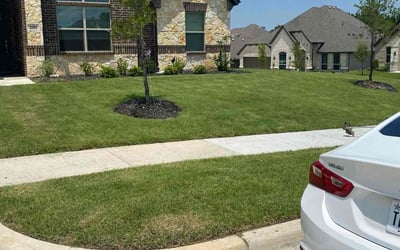 Photo of Kenneth H.'s yard after getting lawn care in Newberg, OR