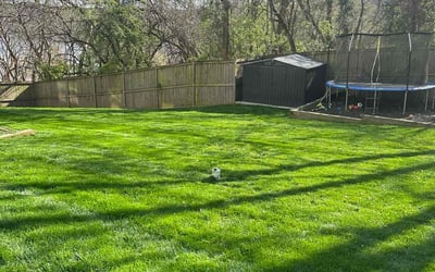 Photo of Brandon R.'s yard after getting lawn care in Derwood, MD