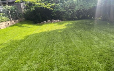 Photo of Donna G.'s yard after getting lawn care in Gulf Breeze, FL