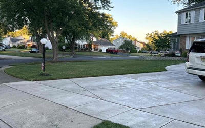 Photo of Thomas E.'s yard after getting lawn care in Collingswood, NJ