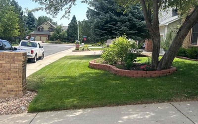 Photo of Tamika B.'s yard after getting lawn care in Arlington, TX