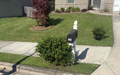 Photo of Brandon C.'s yard after getting lawn care in La Porte, TX
