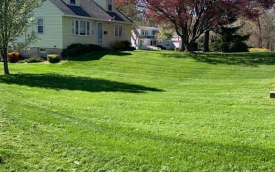 Photo of Allison M.'s yard after getting lawn care in Rocky Hill, CT