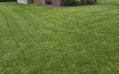 Photo of Chris G.'s yard after getting lawn care in Kenly, NC