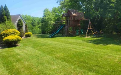 Photo of Sasha M.'s yard after getting lawn care in Wilmington, MA