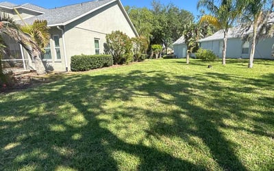 Photo of Laura T.'s yard after getting lawn care in Sebastopol, CA