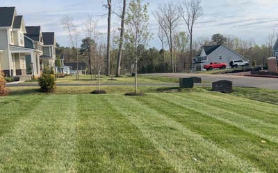 Photo of Rebecca S.'s yard after getting lawn care in Spotsylvania, VA
