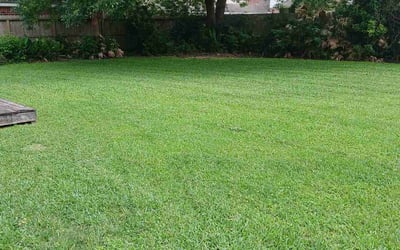 Photo of Jesus A.'s yard after getting lawn care in Houston, TX