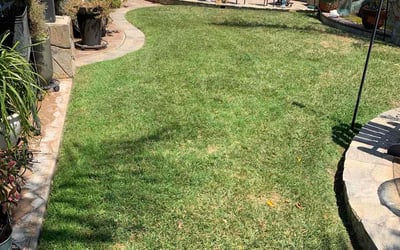 Photo of Mike J.'s yard after getting lawn care in Perris, CA