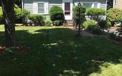 Photo of Ariana O.'s yard after getting lawn care in Lexington, MA