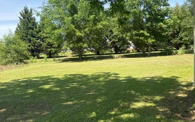 Photo of Shirley L.'s yard after getting lawn care in Rogers, AR