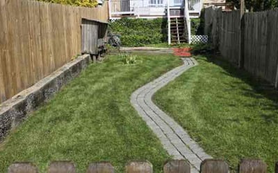 Photo of Sylvia W.'s yard after getting lawn care in Orange Park, FL
