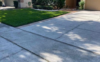 Photo of Enrique G.'s yard after getting lawn care in Dade City, FL