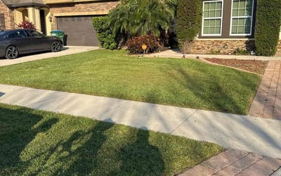Photo of Deidre M.'s yard after getting lawn care in Winter Springs, FL
