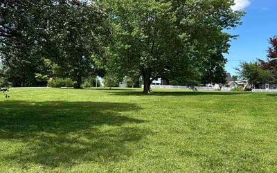 Photo of Lana F.'s yard after getting lawn care in Portland, TN