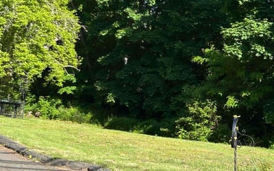 Photo of Anthony I.'s yard after getting lawn care in Seymour, CT
