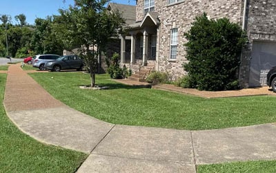Photo of Jeanne Marie E.'s yard after getting lawn care in Burns, TN