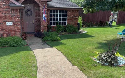 Photo of Mya E.'s yard after getting lawn care in Norristown, PA