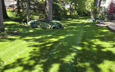 Photo of Phillip J.'s yard after getting lawn care in Gurnee, IL