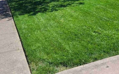 Photo of Nadia S.'s yard after getting lawn care in Fairfield, OH