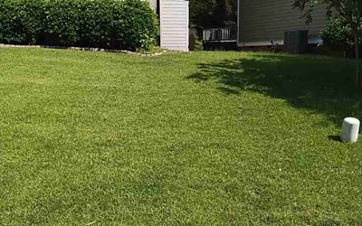 Photo of Dario M.'s yard after getting lawn care in Warwick, RI