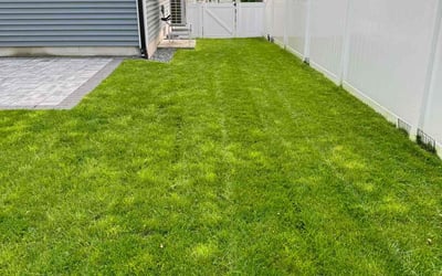 Photo of Sally C.'s yard after getting lawn care in Medford, MA